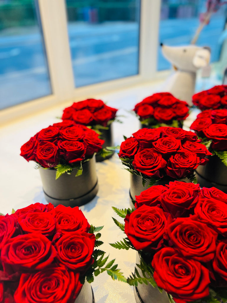 Valentines Day Flowers - a dozen roses - Moon and Back Floral Design Studio